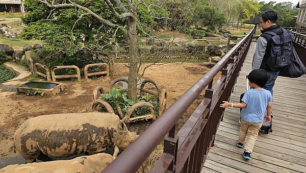 新竹 六福村六福莊：帶著5歲以下幼童遊玩心得/ 來去動物園住