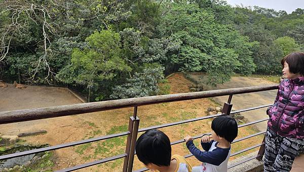 新竹 六福村六福莊：帶著5歲以下幼童遊玩心得/ 來去動物園住