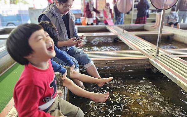 宜蘭 礁溪２小景點：湯圍溝重口味溫泉魚/ 大人牛乳