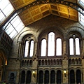 Natural history museum-hall 1