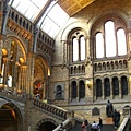 Natural history museum-hall 2