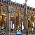 Natural history museum-hall 3