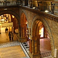 Natural history museum-hall 4