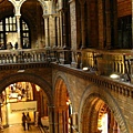 Natural history museum-hall 5