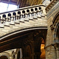 Natural history museum-stairs 
