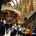 Natural history museum-hall from another angle