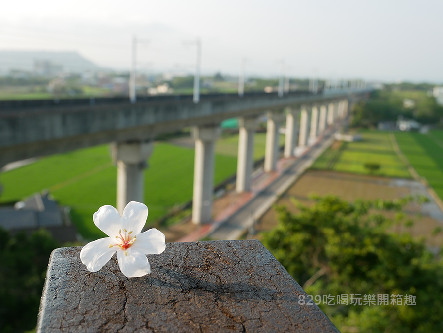 台中外埔水流東桐花步道高鐵觀景 (2).png