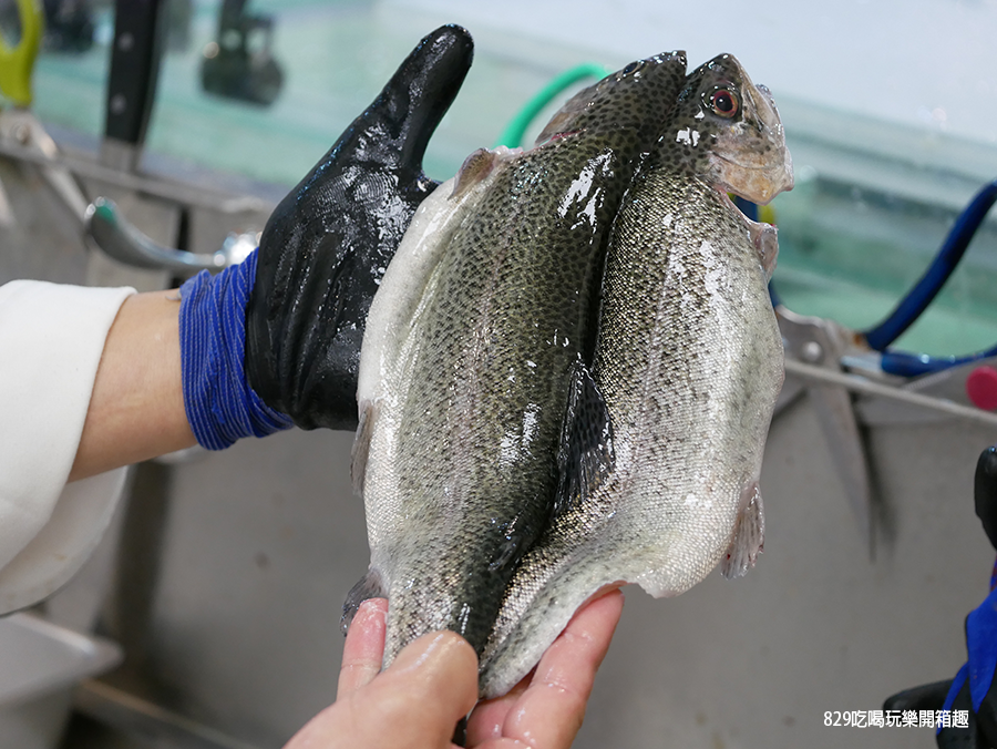 【台中南屯生鮮水產】村井水產｜活體帝王蟹、龍蝦、谷關鱒魚多種超人氣海鮮｜現點現做的生魚片與炙燒壽司｜日本進口的各式醬料、零食、酒類、一蘭拉麵禮盒｜年菜、火鍋、烤肉食材採買好地方 (25).png