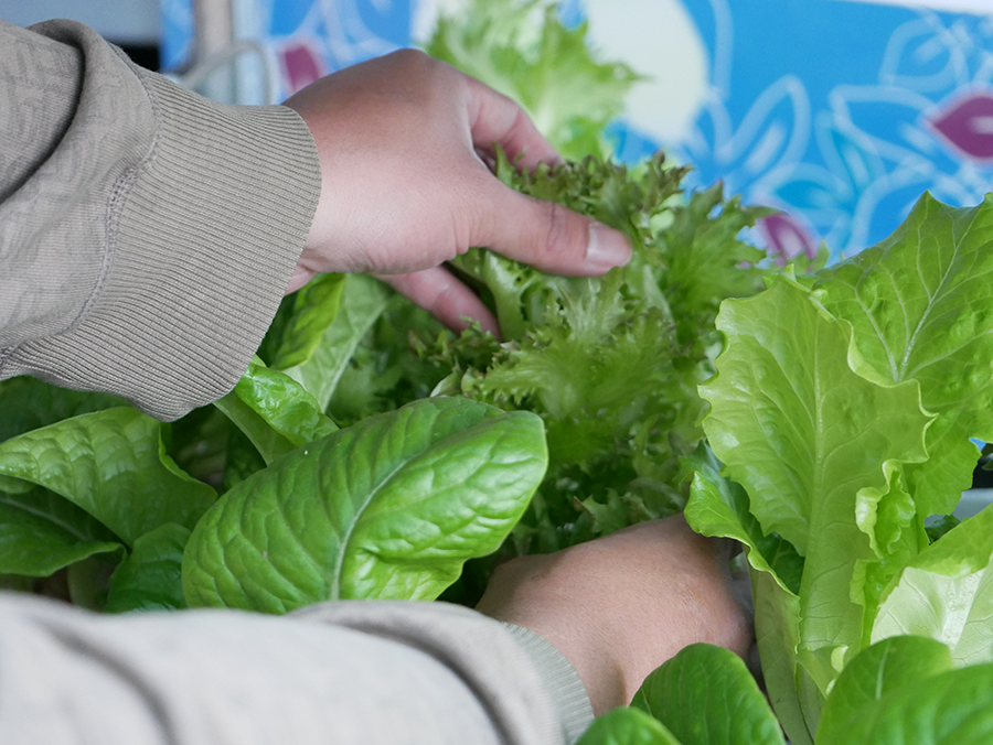 【苗栗美食】樂客茶館x頭份青創1號基地｜頭份市公所內享受輕食下午茶好地方｜ubereat foodpanda 外送  (2).png