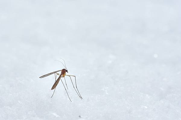 photo-1575909492048-9df0a4e121fb.jfif photo-1575909492048-9df0a4e121fb.jfif