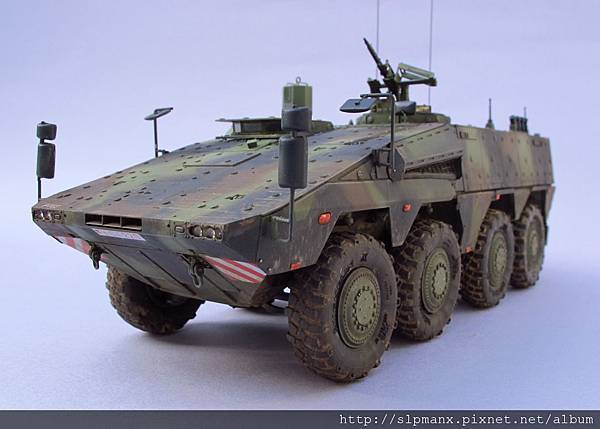 German Boxer MRAV (7)