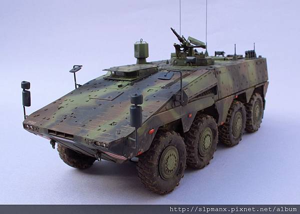 German Boxer MRAV (9)