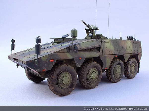 German Boxer MRAV (10)