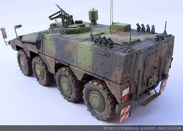 German Boxer MRAV (16)