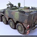 German Boxer MRAV (16)