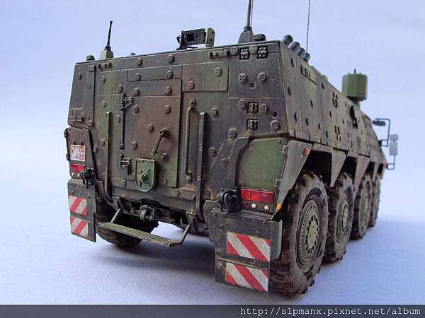 German Boxer MRAV (25)