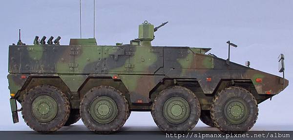 German Boxer MRAV (42)c