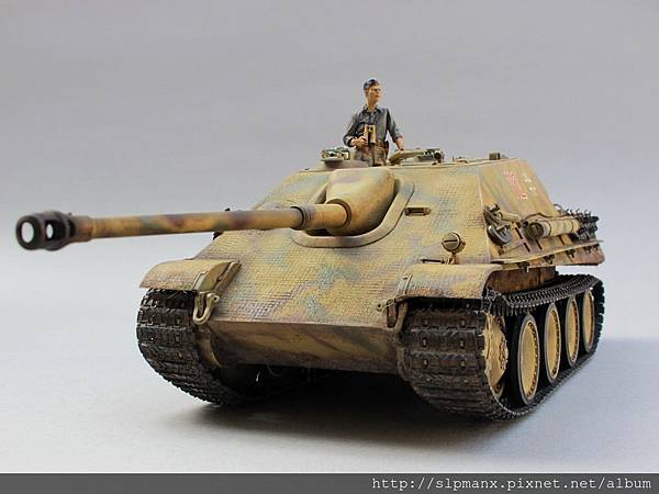 Jagdpanther 2013mar2  (16)rs