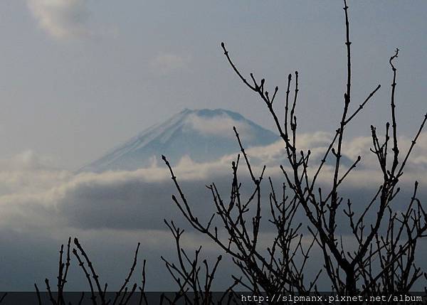 20130321BLOG (191)