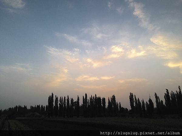 相片 2015-7-29 下午8 54 19.jpg