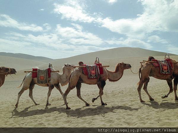 相片 2015-8-2 下午4 22 28.jpg