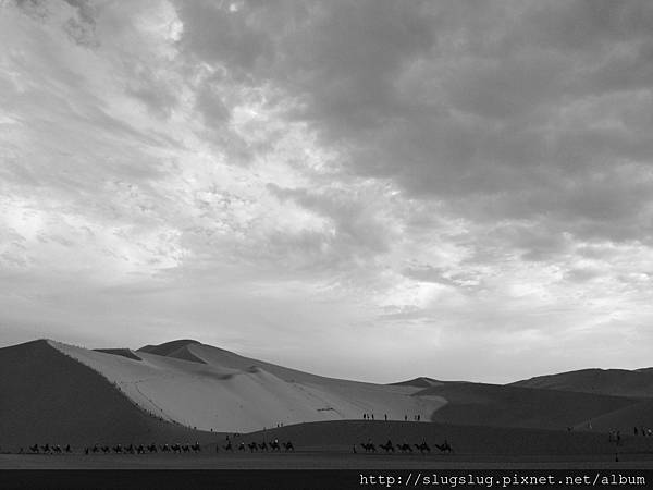 相片 2015-8-2 下午8 10 20.jpg