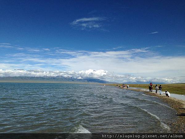 相片 2015-8-7 下午4 36 31.jpg