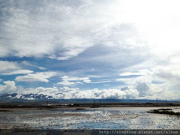 相片 2015-8-8 上午10 09 09.jpg