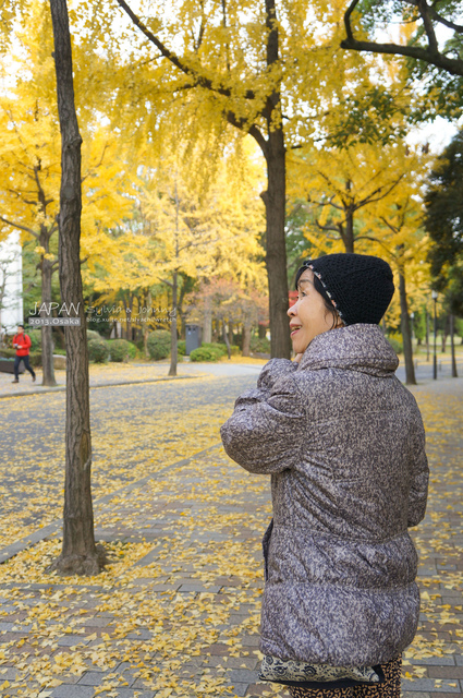 DSC01317 拷貝.jpg - 2013.京阪神賞楓