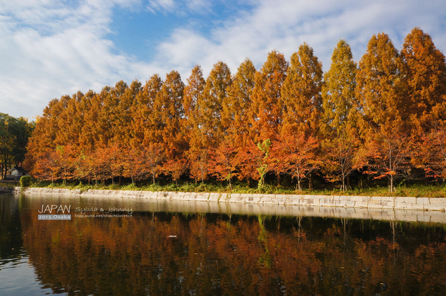 DSC01357 拷貝.jpg - 2013.京阪神賞楓