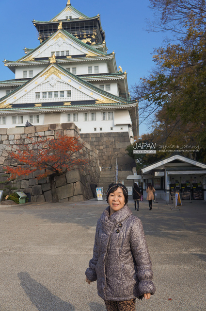 DSC01366 拷貝.jpg - 2013.京阪神賞楓