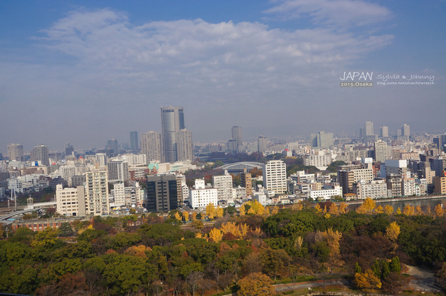 DSC01369 拷貝.jpg - 2013.京阪神賞楓