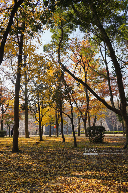 DSC01378 拷貝.jpg - 2013.京阪神賞楓