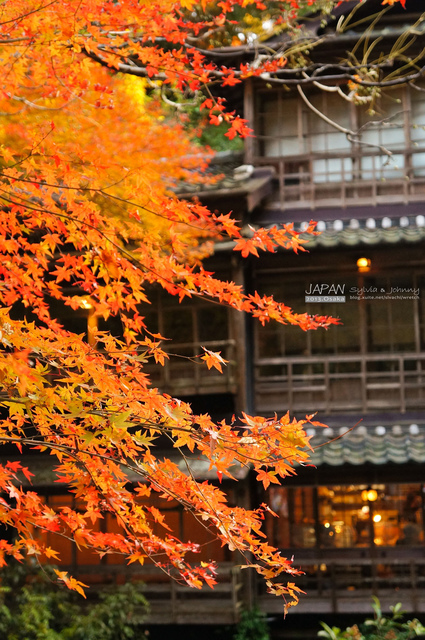 DSC01265 拷貝.jpg - 2013.京阪神賞楓