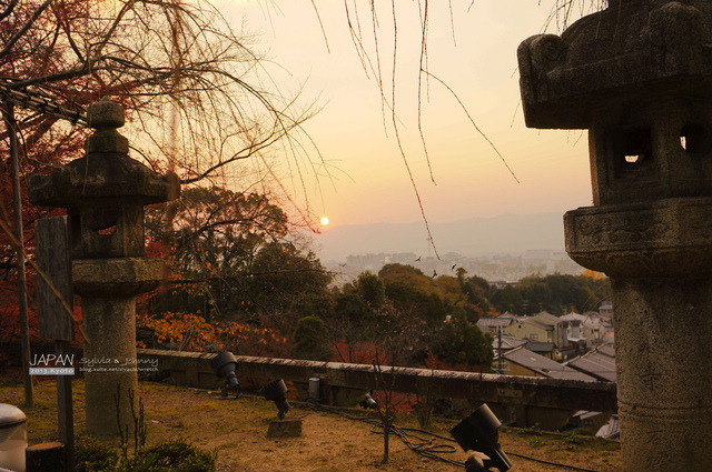 DSC01002 拷貝.jpg - 2013.京阪神賞楓