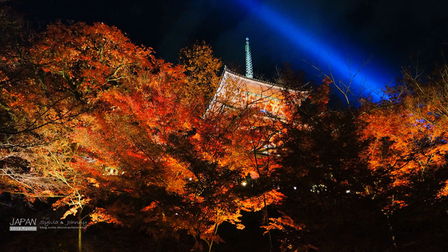 DSC01085 拷貝.jpg - 2013.京阪神賞楓