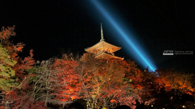 DSC01104 拷貝.jpg - 2013.京阪神賞楓