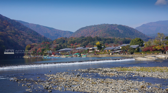 DSC00858 拷貝.jpg - 2013.京阪神賞楓