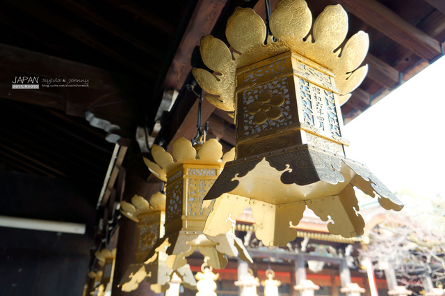 DSC00876 拷貝.jpg - 2013.京阪神賞楓