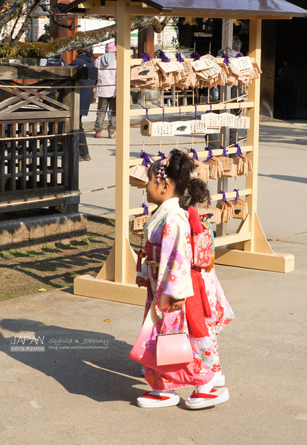 DSC00878 拷貝.jpg - 2013.京阪神賞楓