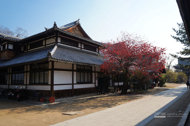 DSC00884 拷貝.jpg - 2013.京阪神賞楓