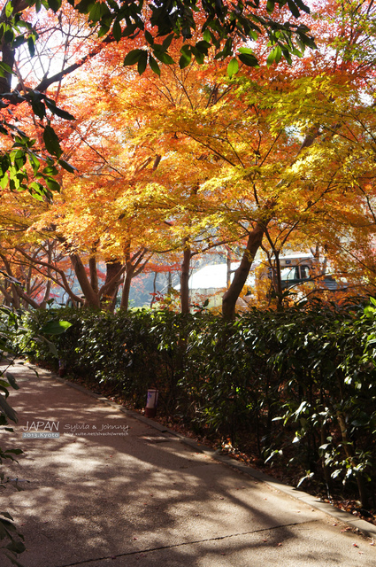 DSC00739 拷貝.jpg - 2013.京阪神賞楓