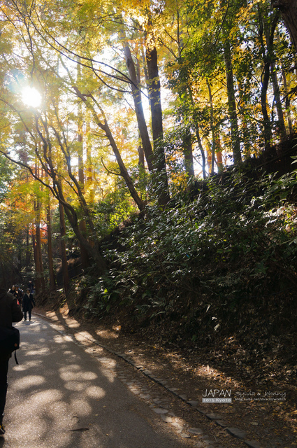 DSC00756 拷貝.jpg - 2013.京阪神賞楓