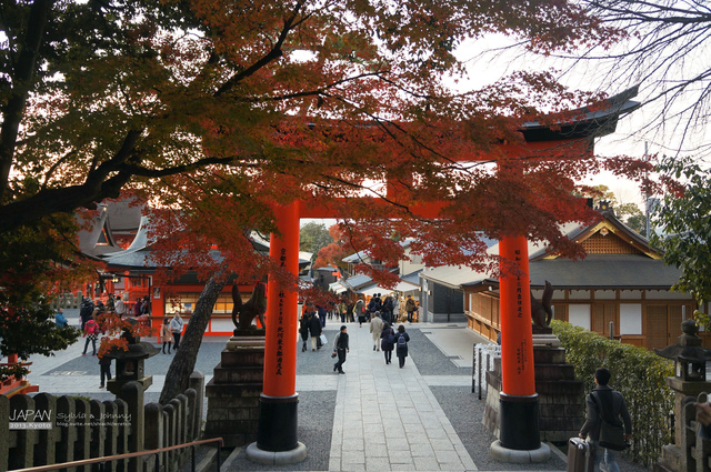 DSC00146 拷貝.jpg - 2013.京阪神賞楓