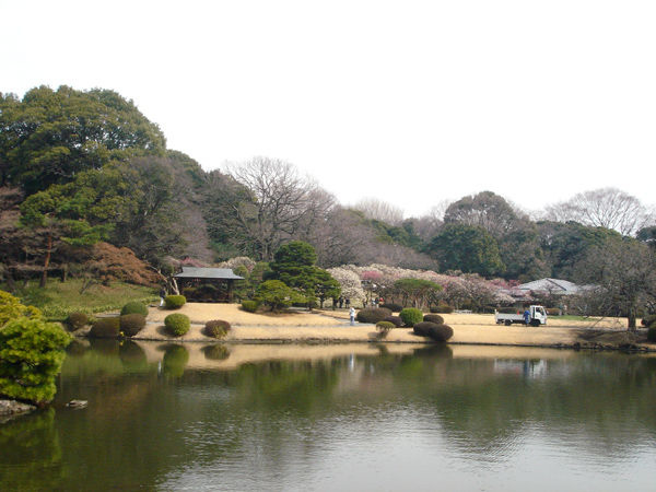 1112195965.jpg -  日本旅遊