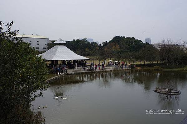 _DSC3566 拷貝.jpg