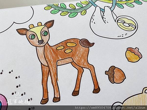 N次貼 著色畫軸 大 森林派對_200619_0003.jpg