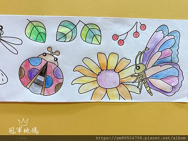N次貼 著色畫軸 小 昆蟲 海底生物 空白 動物_200619_0002.jpg