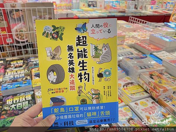 小豬爸爸 童書特賣會 台中大魯閣 新時代 近台中車站 書展 教具展 food超人 汪汪隊 波力_201_21.jpg