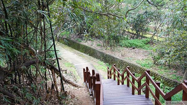 苗栗市貓貍山公園-烤肉區